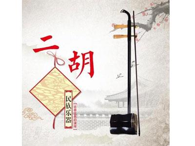 招聘湘潭二胡家教老师